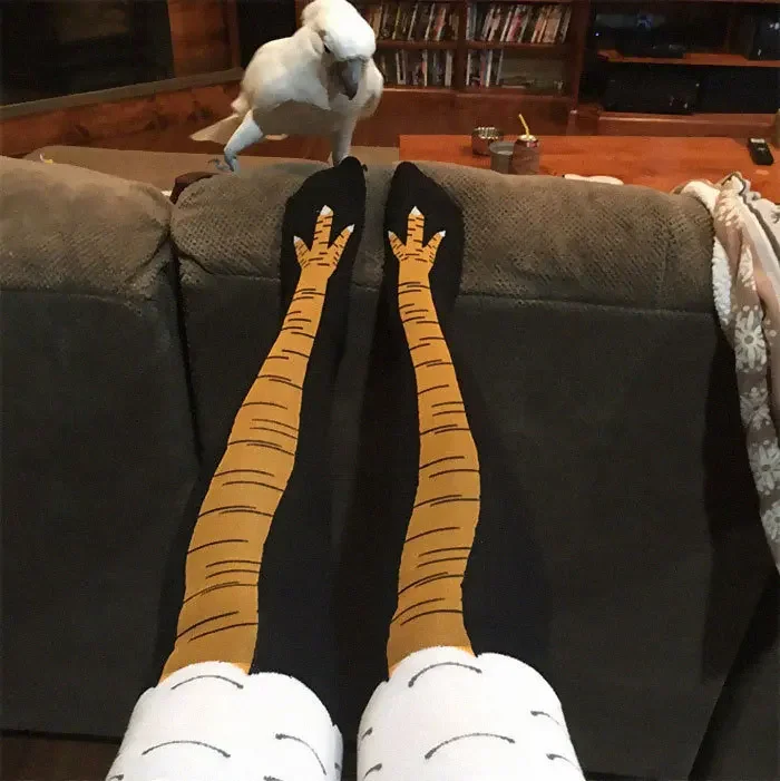 جوارب ثلاثية الأبعاد مضحكة لمخ - مراجعة Funny Chicken Leg Socks وسعره